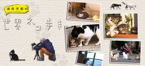 ҺϹѤè~嵺첥