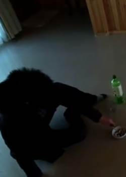 Ӱȷ