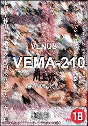 VEMA-210