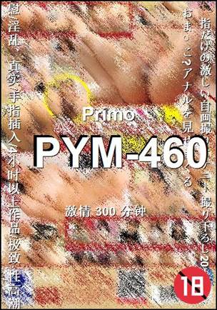 PYM-460torrent