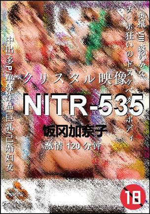 NITR-535torrent