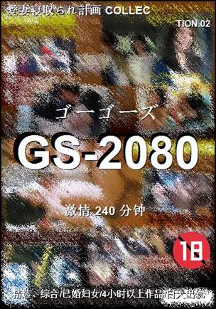 GS-2080torrent