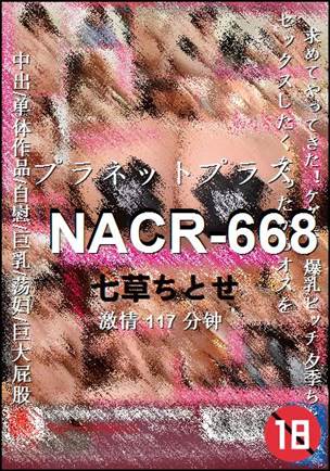 NACR-668torrent