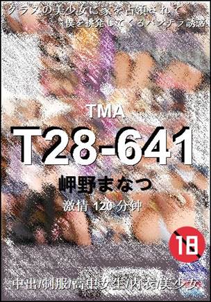 T28-641torrent