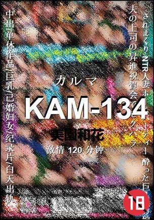 KAM-134torrent
