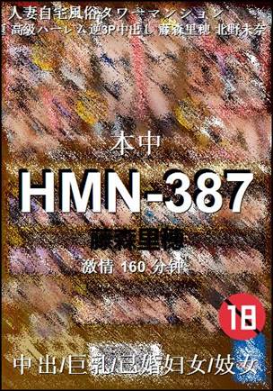 HMN-387torrent