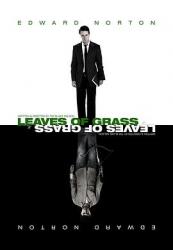 ҶӰȷ