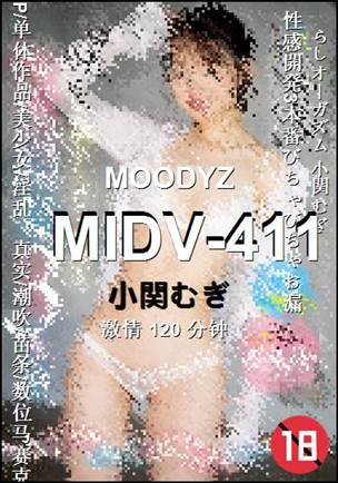 MIDV-411torrent