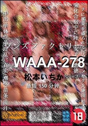 WAAA-278torrent