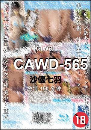 CAWD-565torrent