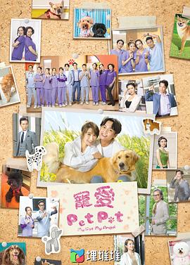 谮Pet Pet첥