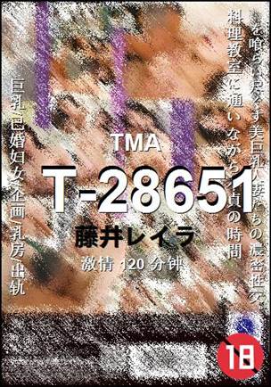 T-28651torrent