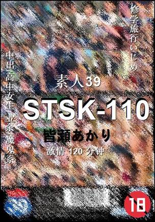 STSK-110torrent