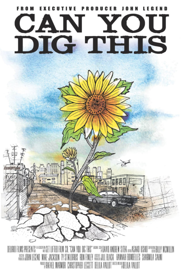 ����������Ӱ���ȷ�