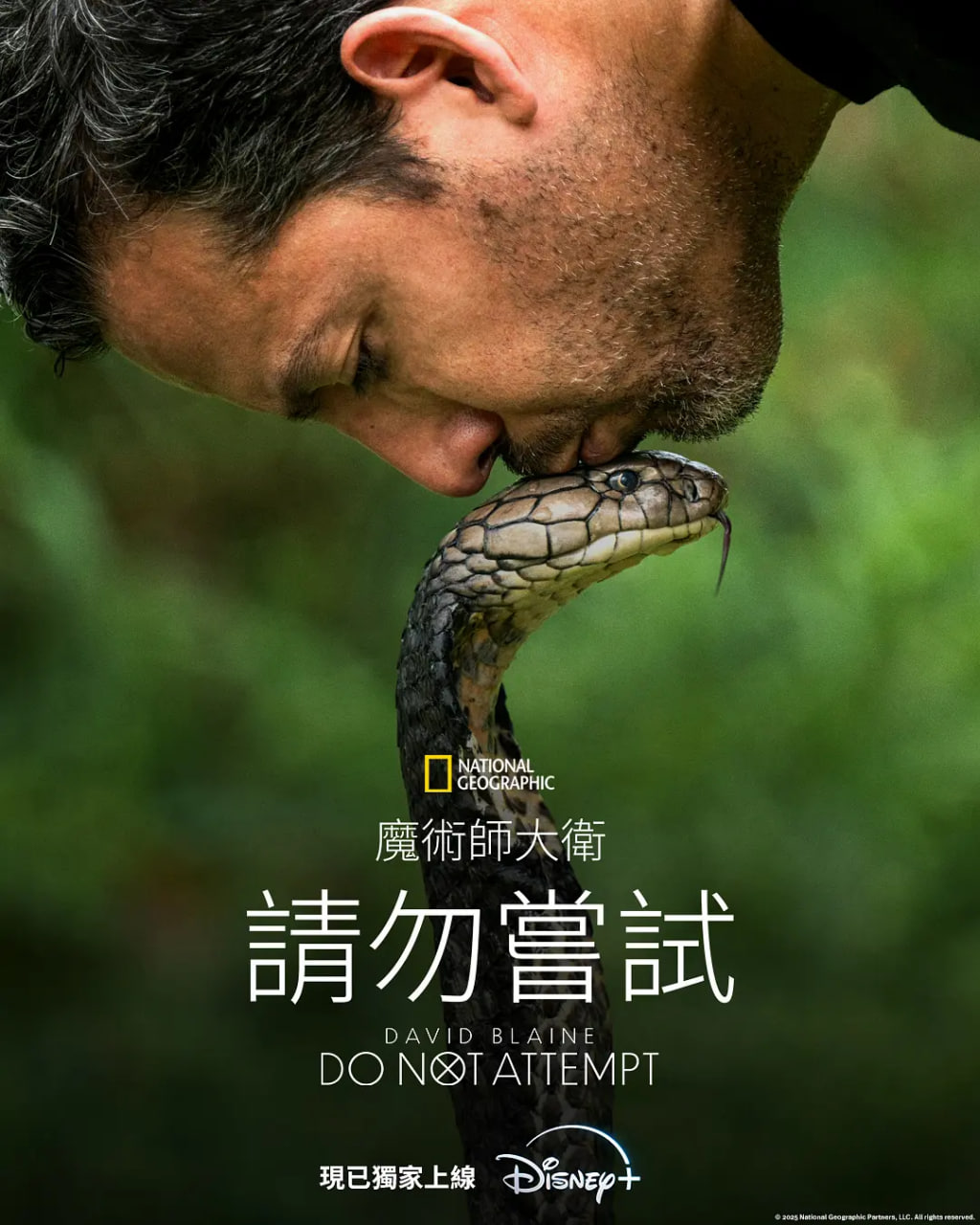 ׶:ȫ