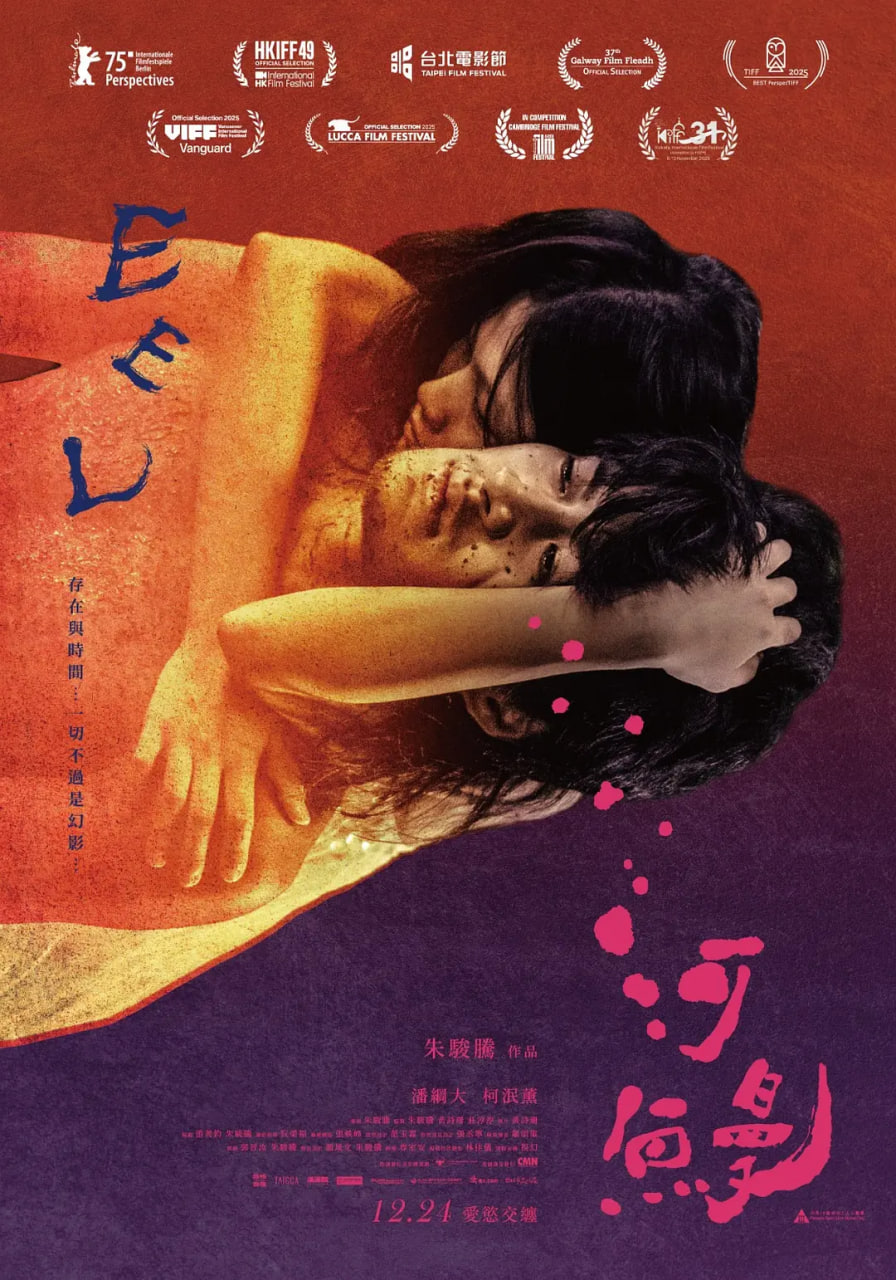 ���� ����(2025)ȫ��