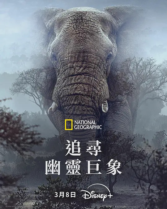 ׷Ѱ�������Ӱ���ȷ�