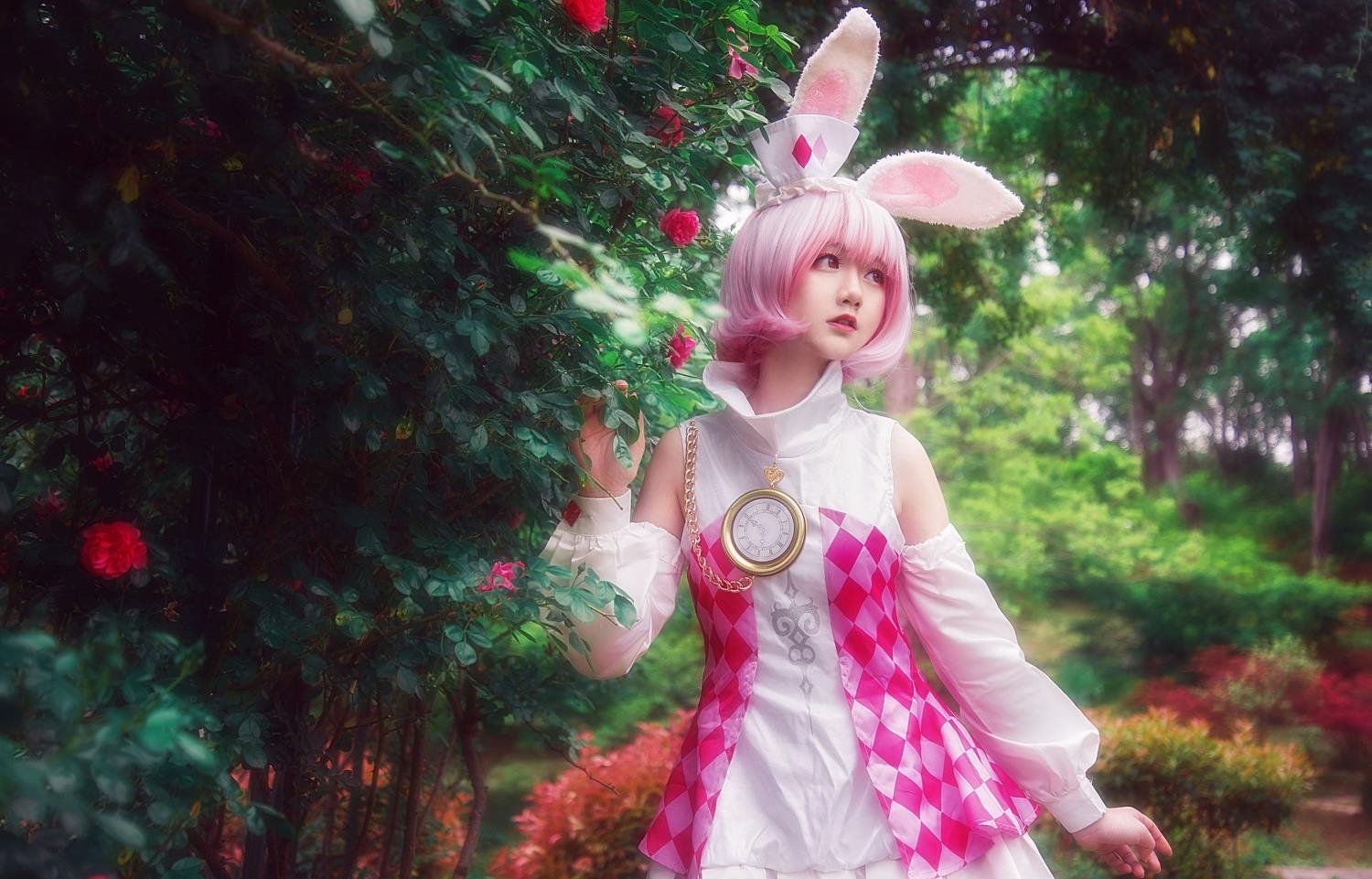 ���������ĻMV����ȫ��